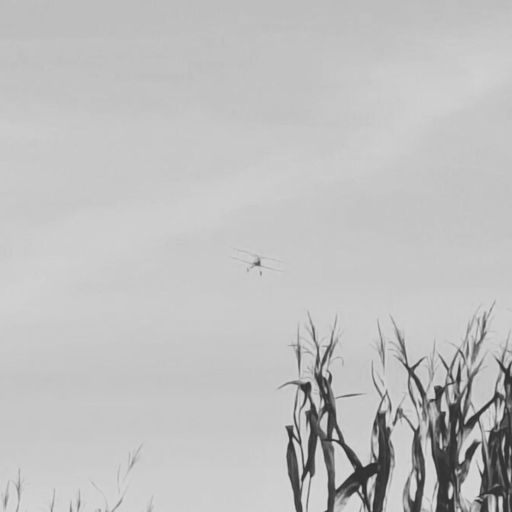 Meeting People — Falling Major cover